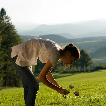 I Am Graz-seiersberg 3*